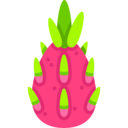 food,vegan,healthy food,food and restaurant,organic,diet,vegetarian,fruit,dragon fruit,pitaya ok 